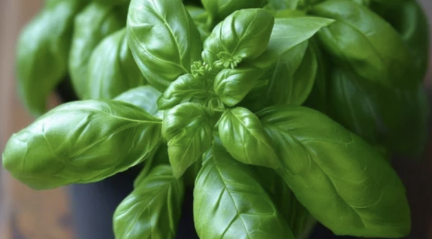 Screenshot 2025-12-29 at 20.24.54