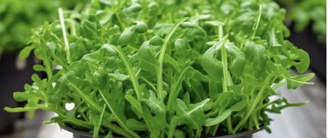 Screenshot 2025-12-29 at 20.25.15