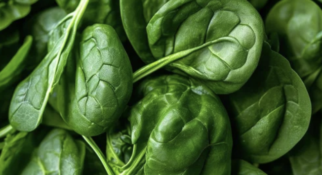 Screenshot 2025-12-29 at 20.25.21