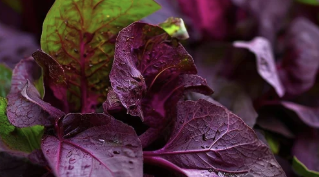 Screenshot 2025-12-29 at 20.25.39