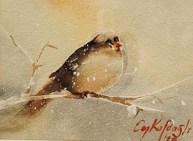 WhatsApp Image 2025-12-05 at 22.27.51 (2)