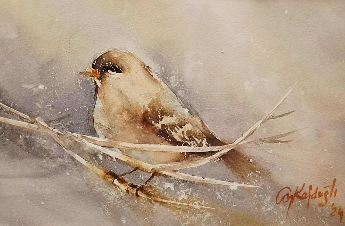 WhatsApp Image 2025-12-05 at 22.27.52 WhatsApp Image 2025-12-05 at 22.27.52