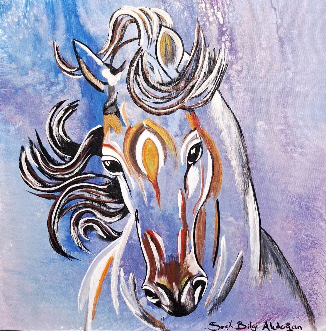 WhatsApp Image 2025-12-05 at 22.28.20 (1)