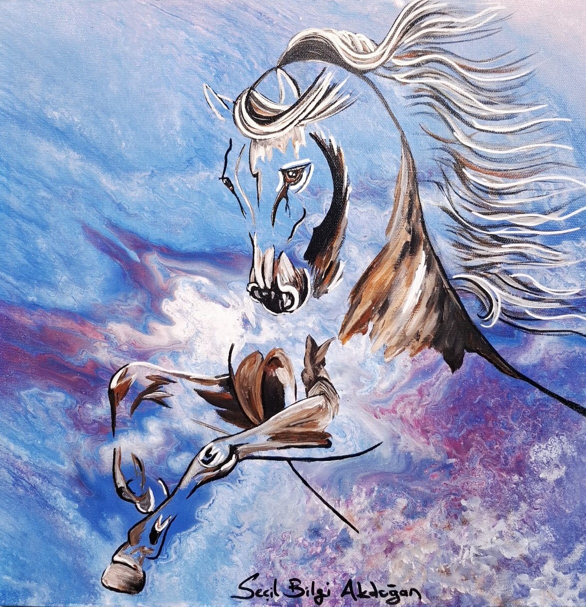 WhatsApp Image 2025-12-05 at 22.28.20 (2)