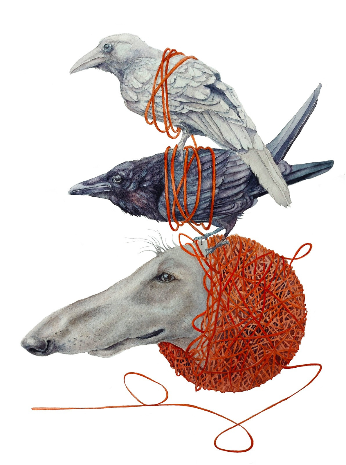 WhatsApp Image 2025-12-05 at 22.28.22 WhatsApp Image 2025-12-05 at 22.28.22