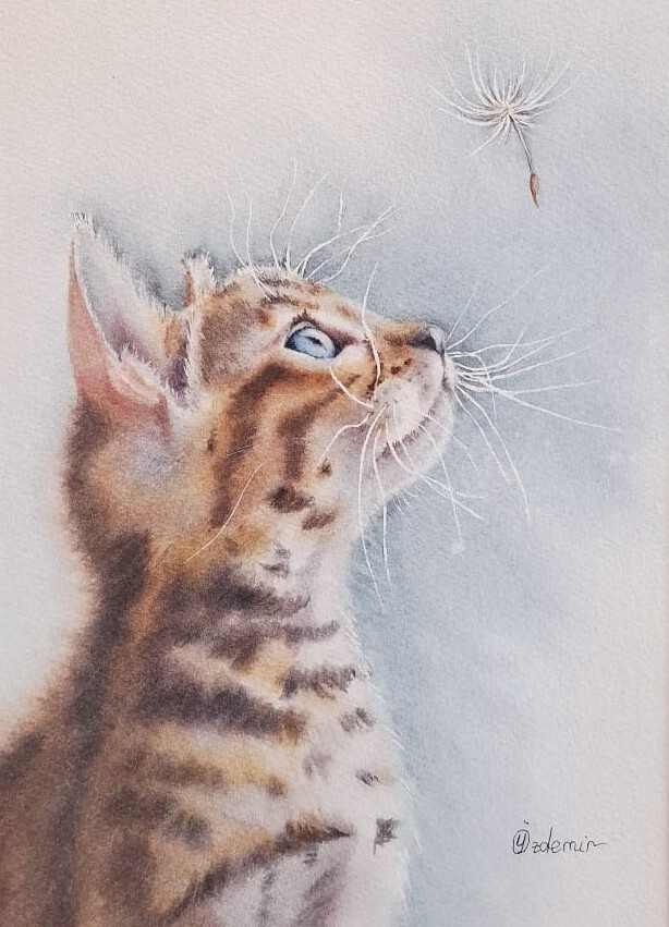 WhatsApp Image 2025-12-05 at 22.28.23 (3)