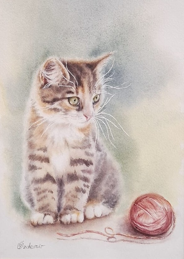 WhatsApp Image 2025-12-05 at 22.28.24 WhatsApp Image 2025-12-05 at 22.28.24