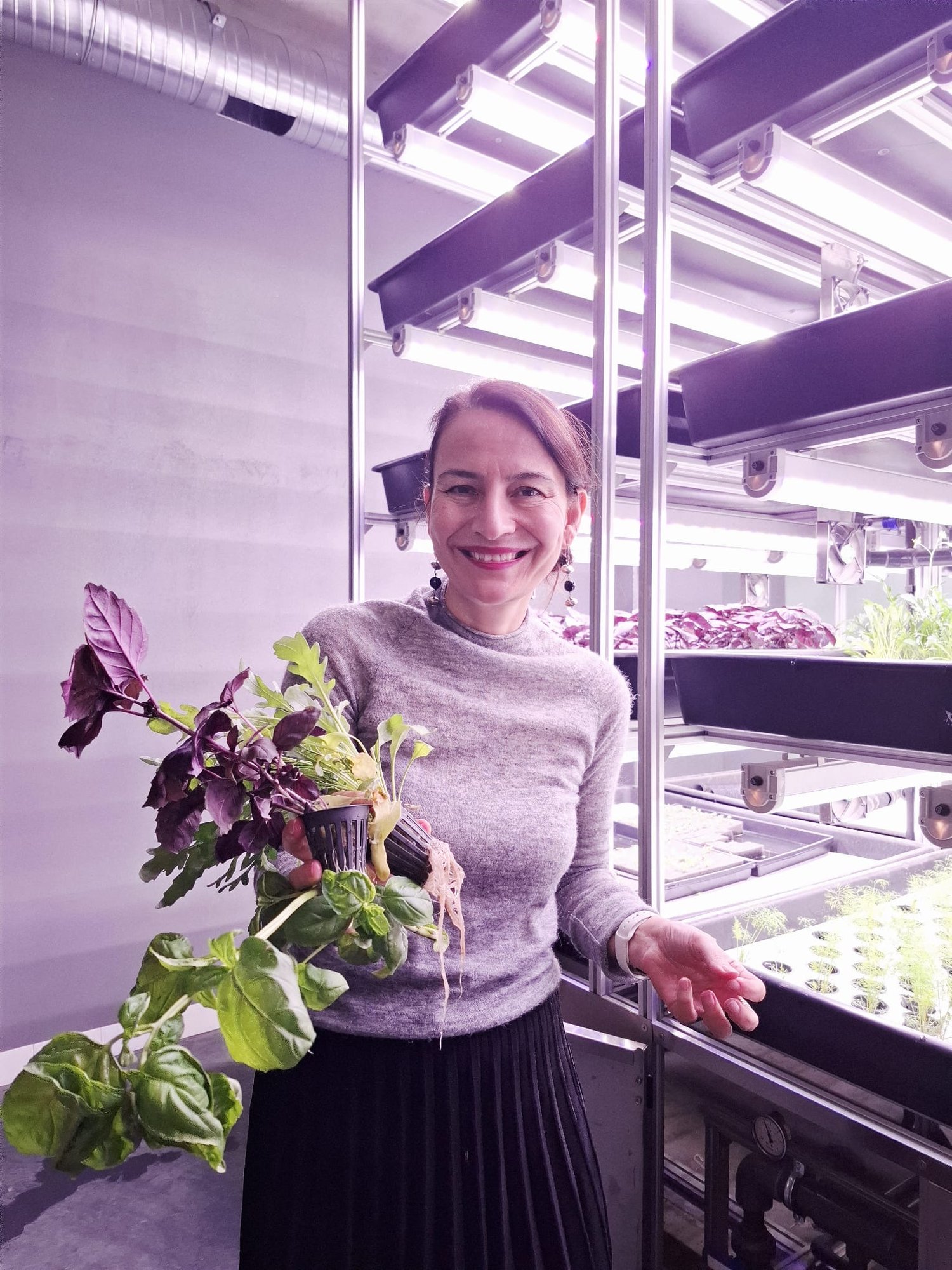 ce7495be-8968-49d2-b396-9dc6812aa478